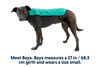 Cloud Chaser™ Dog Jacket