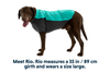 Cloud Chaser™ Dog Jacket