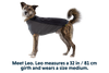 Cloud Chaser™ Dog Jacket