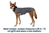 Overcoat™ Dog  Jacket