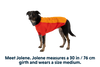 Undercoat™ Dog Water Jacket