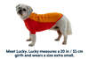 Undercoat™ Dog Water Jacket