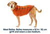 Climate Changer™ Dog Fleece