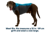 Climate Changer™ Dog Fleece Pullover