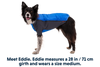 Powder Hound™ Dog Jacket
