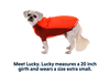 Powder Hound™ Dog Jacket
