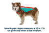Lumenglow™ Hi-Vis Dog Jacket