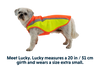 Lumenglow™ Hi-Vis Dog Jacket