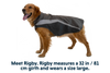 Lumenglow™ Hi-Vis Dog Jacket
