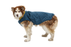 Stumptown™ Quilted Dog Coat