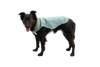 Stumptown™ Quilted Dog Coat