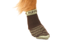 Bark’n Boot™ Dog Socks