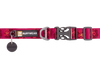 Flat Out™ Dog Collar