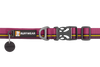 Flat Out™ Dog Collar