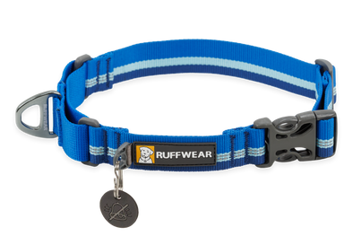 Web Reaction™ Martingale Dog Collar With Buckle