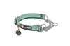Chain Reaction™ Martingale Dog Collar