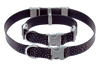Confluence™ Waterproof Dog Collar