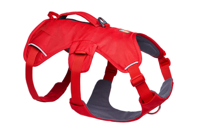 Web Master™ Dog Harness with Handle