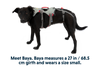 Doubleback™ Full Body Dog Harness