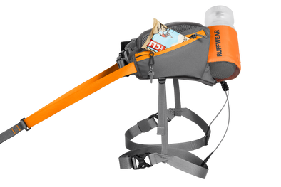 Omnijore™ Dog Joring System