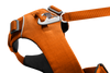 Front Range® Dog Harness