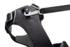Front Range® Dog Harness