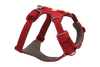 Used - Front Range® Dog Harness
