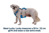 Flagline™ Dog Harness with Handle