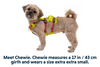 Flagline™ Dog Harness with Handle