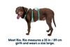 Flagline™ Dog Harness with Handle