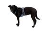 Load Up™ Dog Car Harness