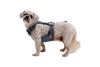 Load Up™ Dog Car Harness