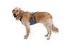 Load Up™ Dog Car Harness