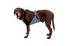 Load Up™ Dog Car Harness