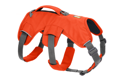Used - Web Master™ Dog Harness with Handle