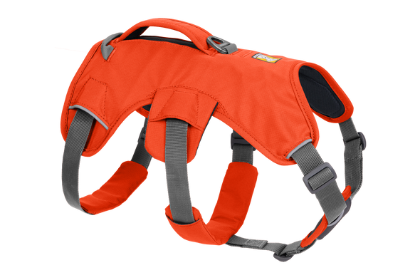 Used - Web Master™ Dog Harness with Handle