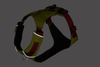 Hi & Light™ Lightweight Dog Harness