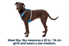 Hi & Light™ Lightweight Dog Harness