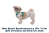 Hi & Light™ Lightweight Dog Harness