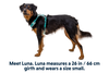 Hi & Light™ Lightweight Dog Harness