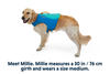Float Coat™ Dog Life Jacket