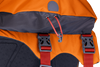 Approach™ Dog Backpack