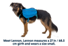 Approach™ Dog Backpack