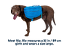 Approach™ Dog Backpack