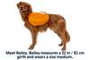 Approach™ Dog Backpack