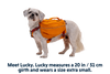 Approach™ Dog Backpack