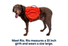 Palisades™ Dog Backpack