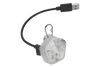 The Beacon™ Dog Safety Light