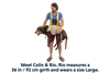 BackTrak™ Dog Evacuation Kit