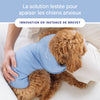 Weighted Calming Vest